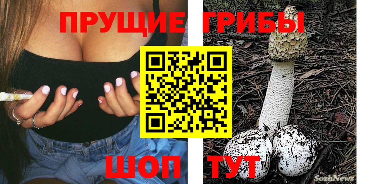 Галлюциногенные грибы Psilocybine cubensis Артём