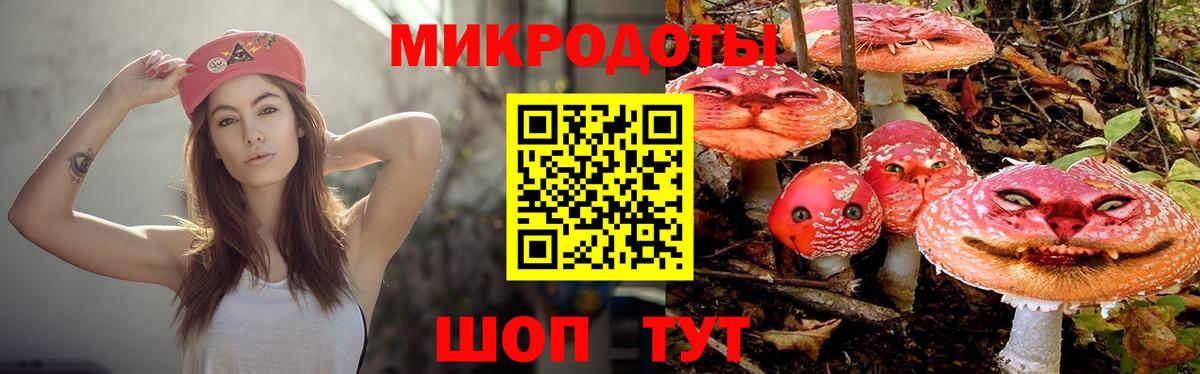 Артём  Галлюциногенные грибы Psilocybine cubensis  Вход с VPN 